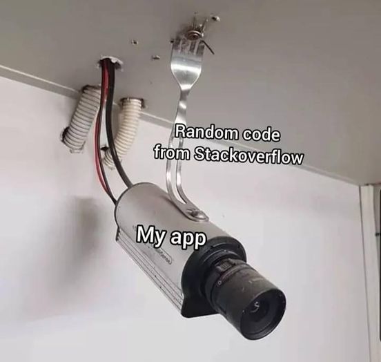 Bild/Foto