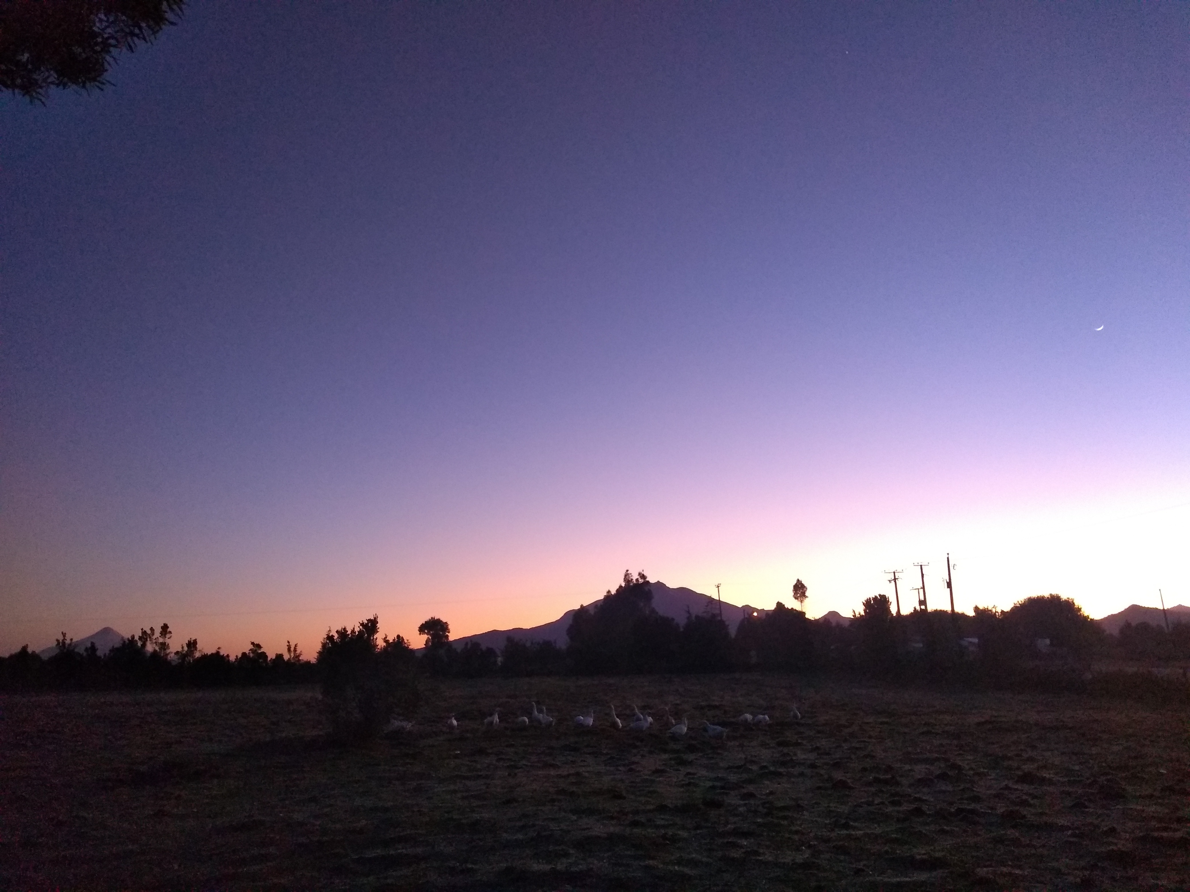 How To Say Good Morning In Chile