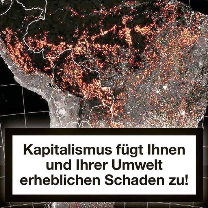 Bild/Foto